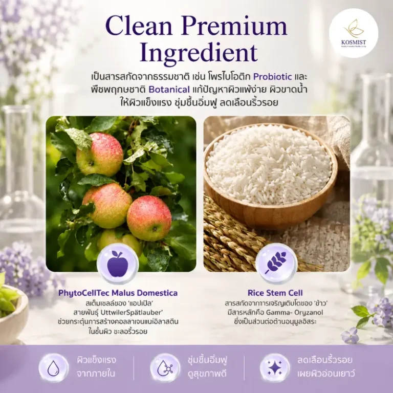 Clean Premium Ingredient สารสกัดธรรมชาติ โปรไบโอติก และ Rice Stem Cell เพื่อผิวแข็งแรง ชุ่มชื้น อิ่มฟู ลดเลือนริ้วรอย สำหรับผิวแพ้ง่าย KOSMIST คอสมิสฑ์